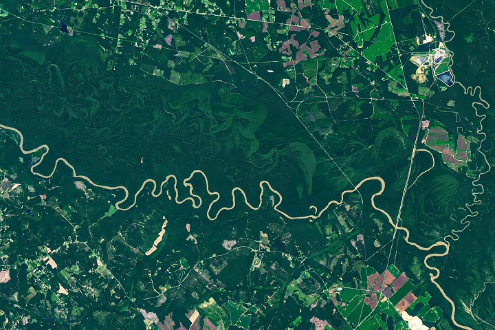 Congaree National Park’s Forested Floodplain