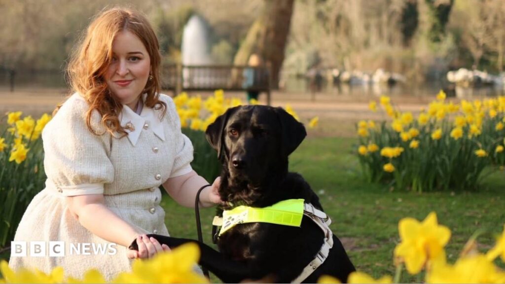 Disabled People in a Heatwave: “We’re Talking About Survival”