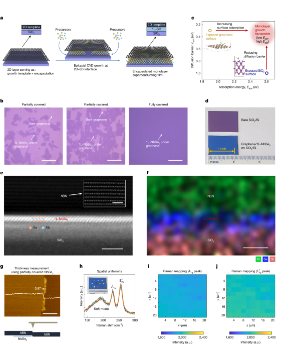 Encapsulation Epitaxy of Air-Stable 2D Superconductors for Quantum Circuit Applications