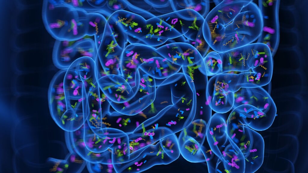 Fecal Microbiota Transplant Pills May Improve Insomnia by Reprogramming the Gut Microbiome, Early Study Suggests