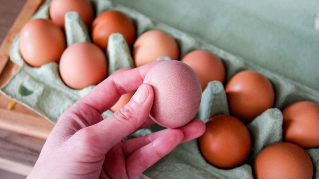 Food Poisoning in the U.S.: Are Cases Increasing This Year?