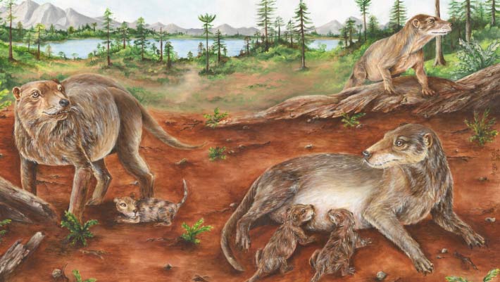 Fossil Evidence Pushes the Origin of Life Back 90 Million Years