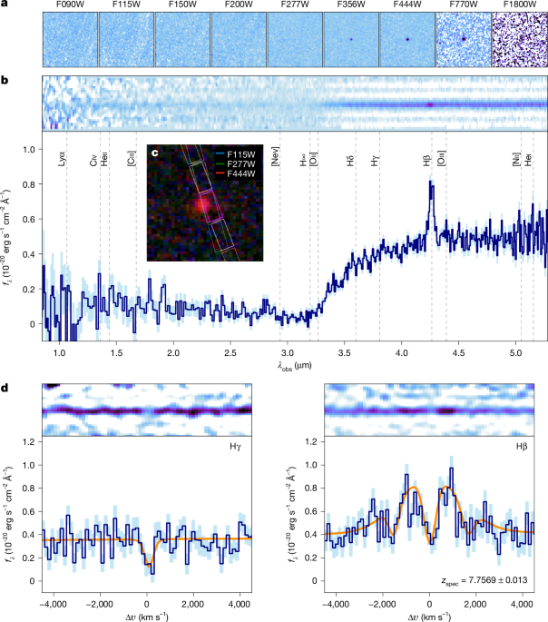 Gas-Obscured and Reddened Black Hole Discovered at Cosmic Dawn