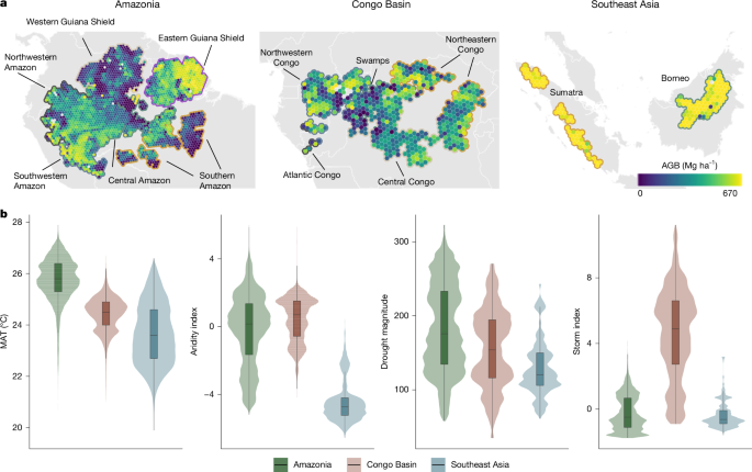 Heterogeneous Climate Controls on Tropical Forest Biomass