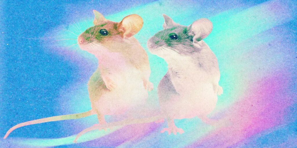 How Cloning Could Save Endangered Species or Create Human Organ Donors