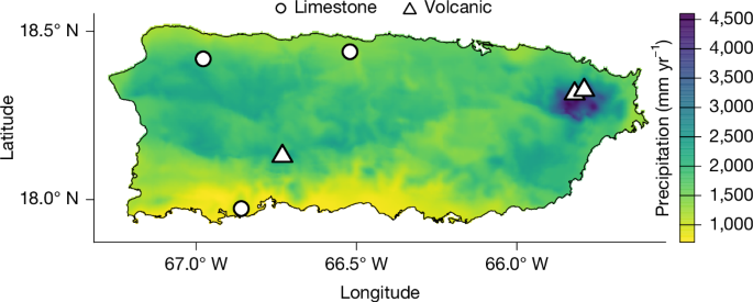 How Intraspecific Variation Drives Tropical Forest Drought Resistance