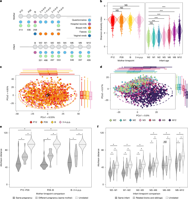 How Maternal Health Influences the Infant Gut Microbiome and Overall Health