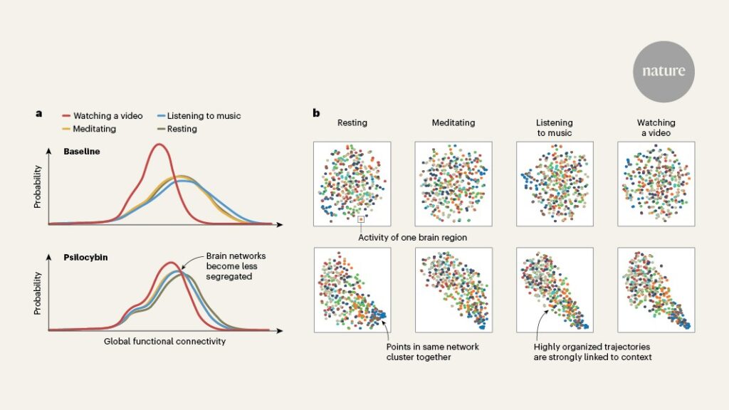 How Psychedelics Tune the Brain to Adapt to the Environment