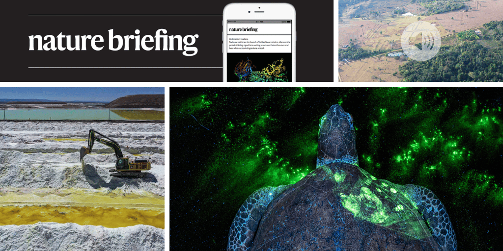 How Smallpox Reached the Americas: Daily Briefing