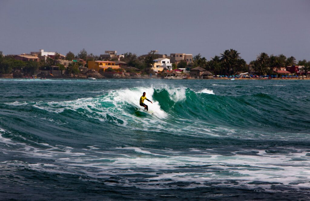 How Surfing Paradises Can Support Marine Conservation and Protect Ocean Biodiversity