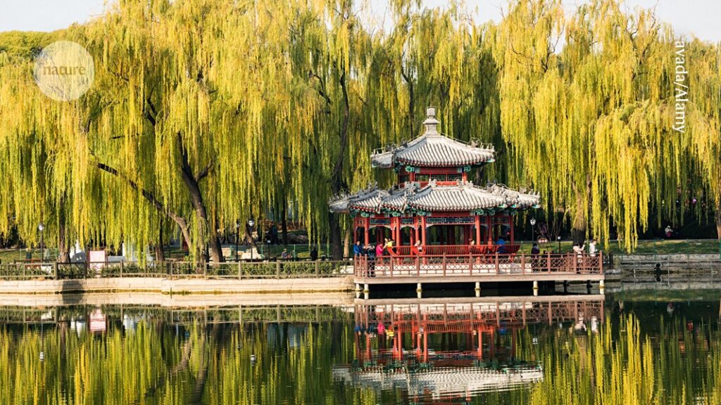 How Urban Trees Can Worsen Air Quality in Cities