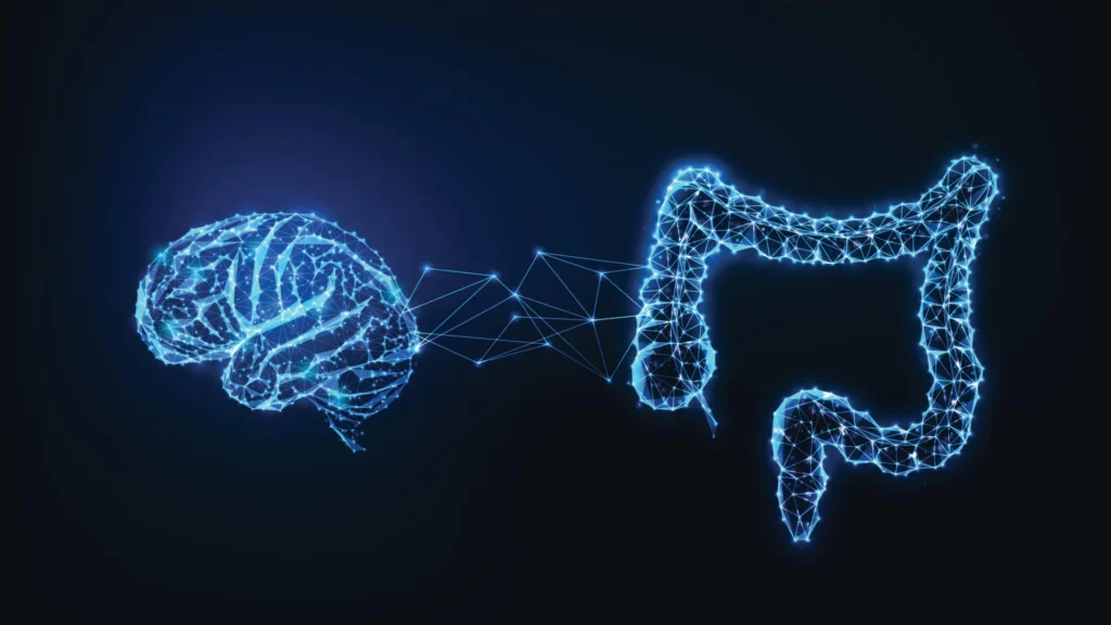 How the Gut-Brain Connection Influences What You Remember