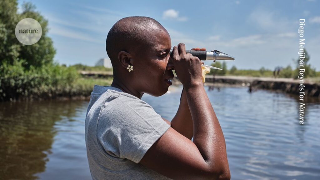 Mozambican Mangrove Restoration: Turning the Tide in Photos