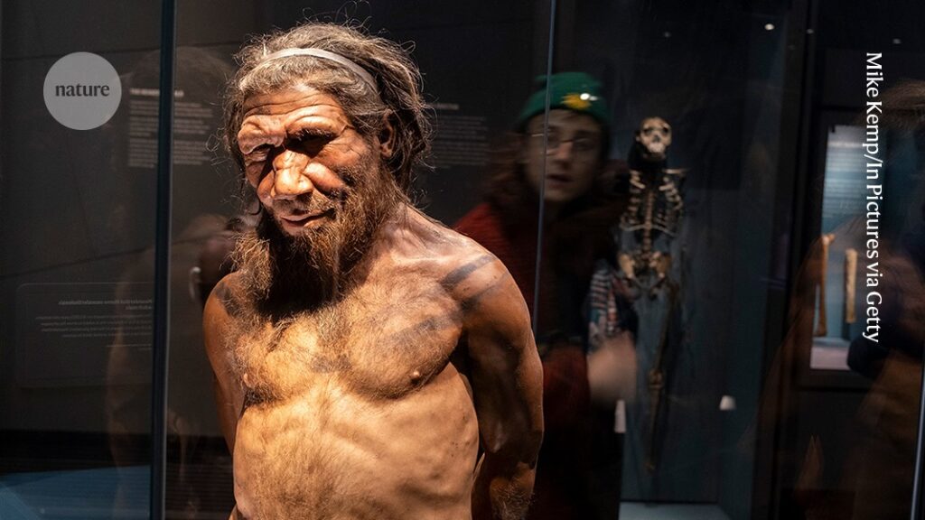 Neanderthal Gene Linked to Greater Height and Muscle in Some Modern Humans