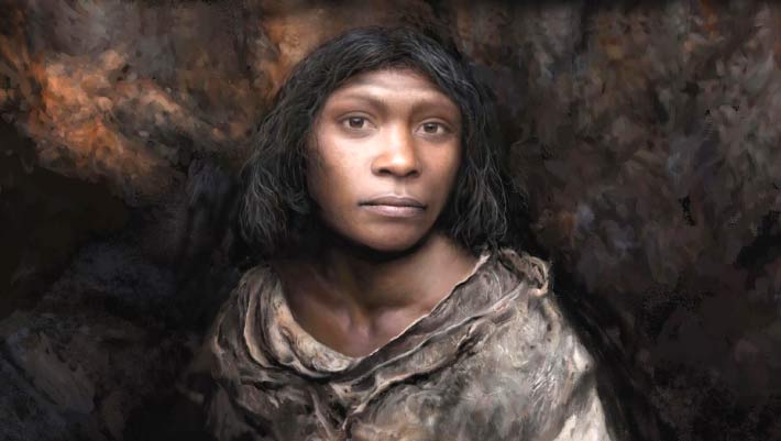 New Fossils Reveal Homo antecessor Had a Surprisingly Modern Skull