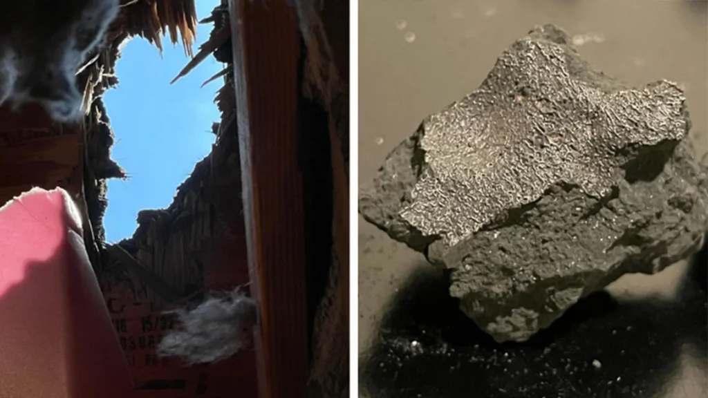 New Jersey Meteorite That Crashed Through a Roof Reveals Clues About the Origins of Life