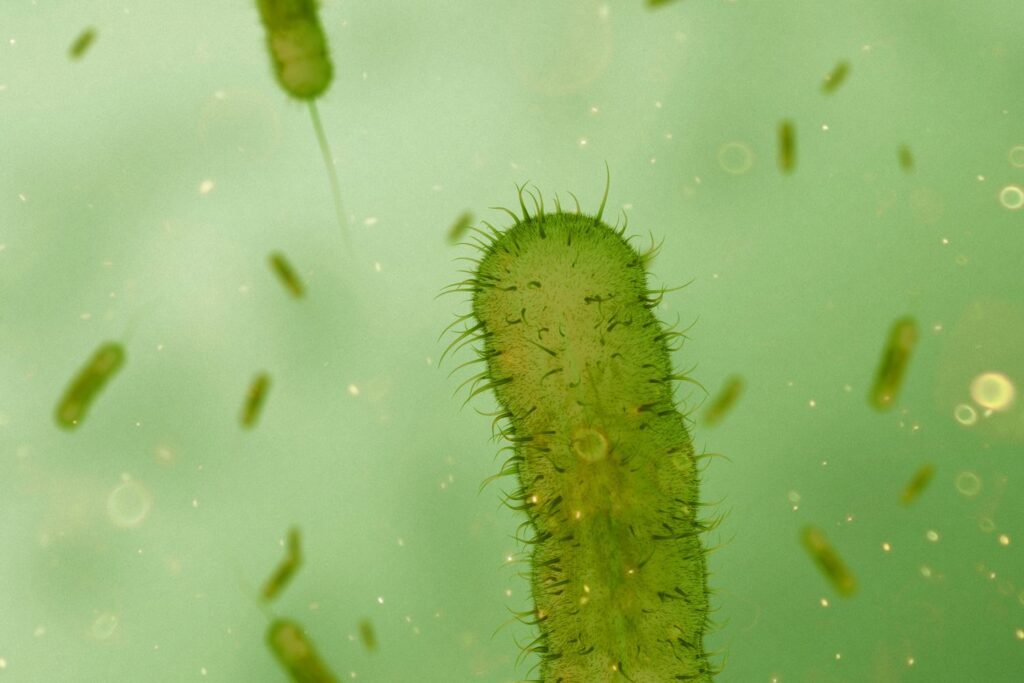 New Study Suggests Life on Earth Had Two Origins Based on Early Chemical Reactions in Single-Celled Organisms
