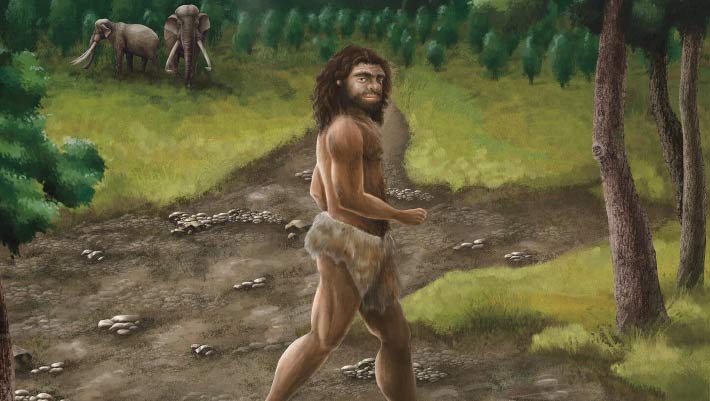 New Taiwan Fossils Suggest Denisovans Were Surprisingly Tall