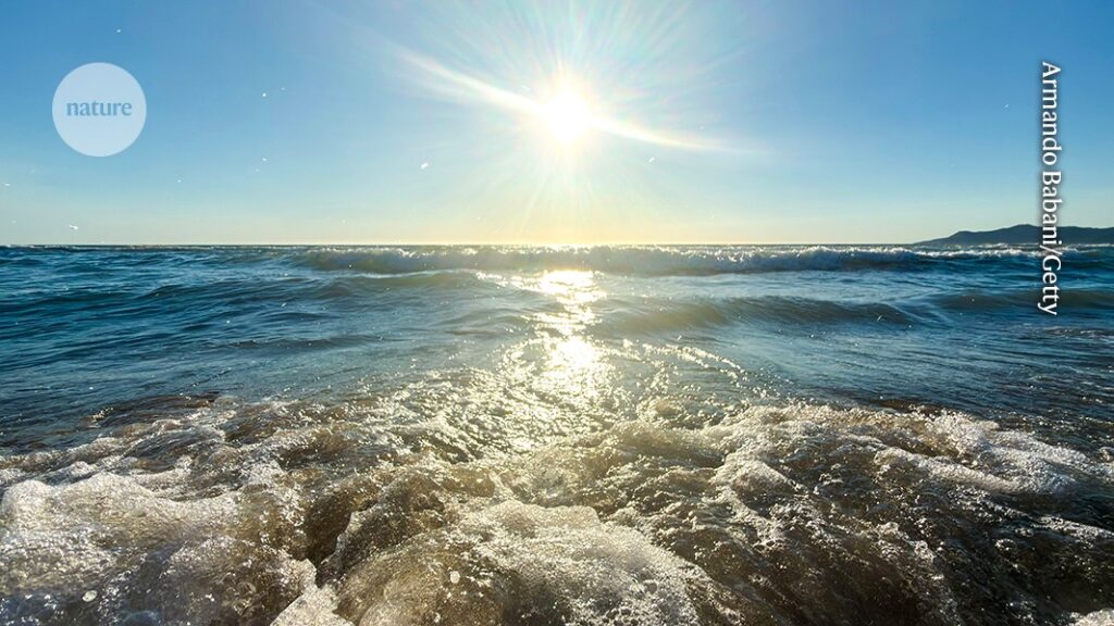 Record-High Sea Temperatures: What Happens Next?
