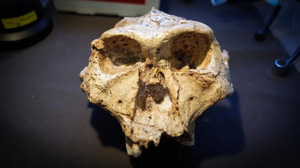 Scientists Reveal the Human Family Tree May Need a Major Rewrite