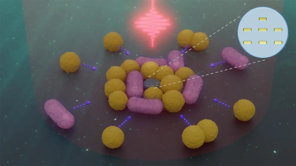 Small Light-Powered Robots Can Search for and Collect Bacteria