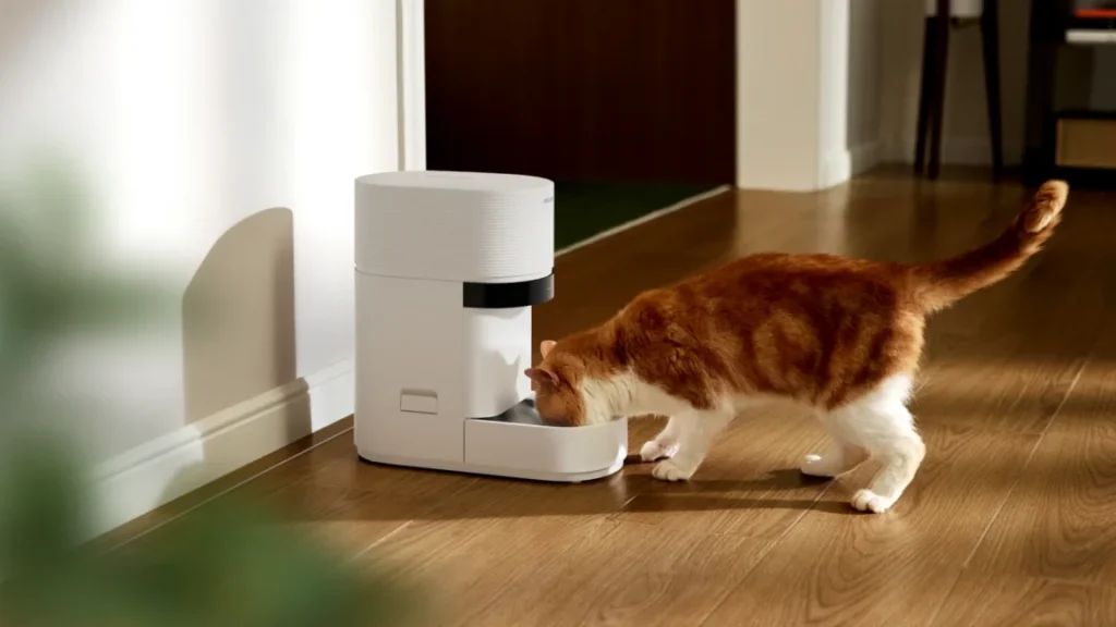 Smart Pet Feeder Outage Leaves Pets Without Food, Pet Owners Say