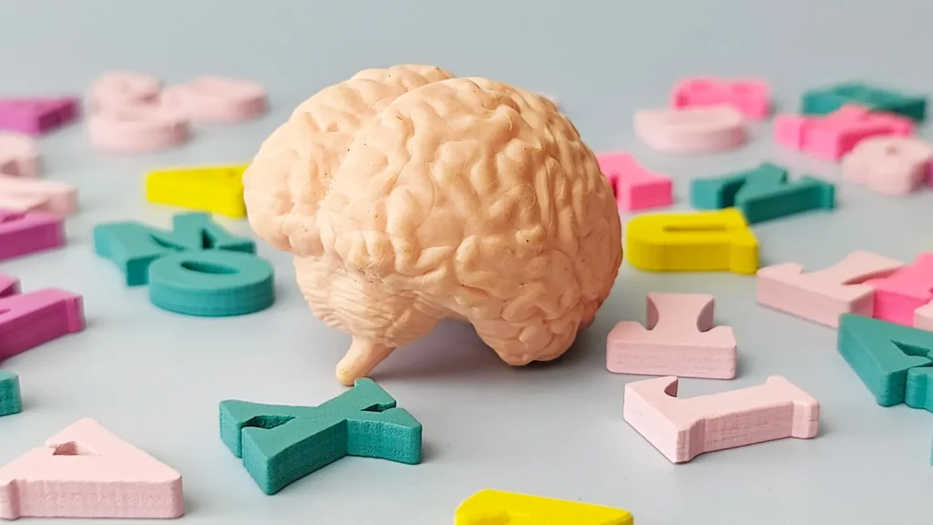 Speaking Multiple Languages May Make the Brain Up to 13 Years Younger, Study Finds