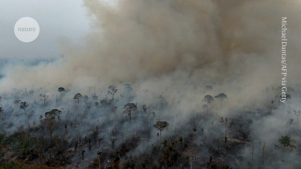 Super El Niño Could Transform the Amazon Rainforest: Is the World’s Largest Rainforest at Risk?