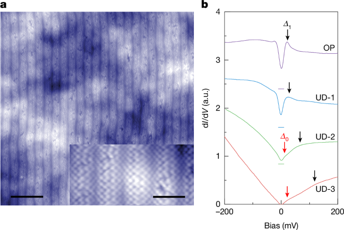 Superconducting 2D Cuprate with a Single CuO₂ Plane