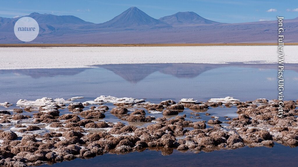 The Story of Life and Earth: How They Evolved Together