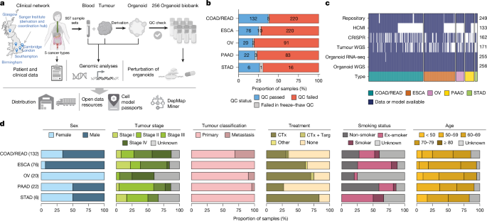 Tumor-Derived Organoid Biobank Reveals Cancer Gene Dependencies