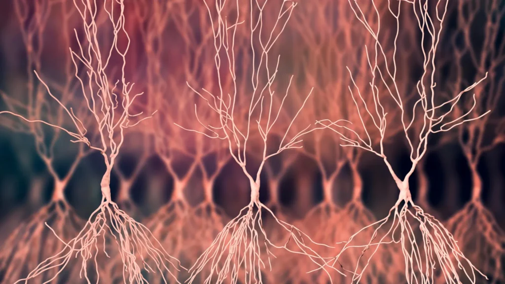 Two New Compounds May Reveal Hidden Causes of Alzheimer’s Disease