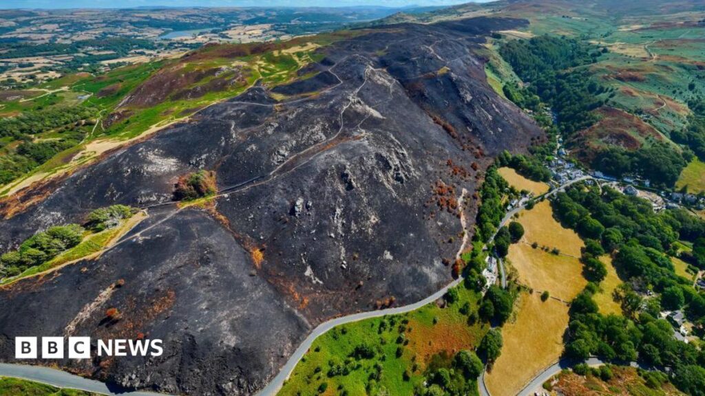 Wales Wildfires Could Take Centuries for Nature to Recover, Environmentalists Warn