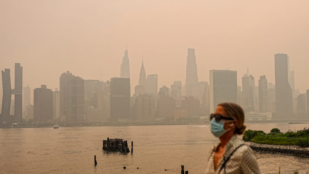 Wildfire Smoke Poses Greater Prenatal Health Risks Than Human-Caused Air Pollution