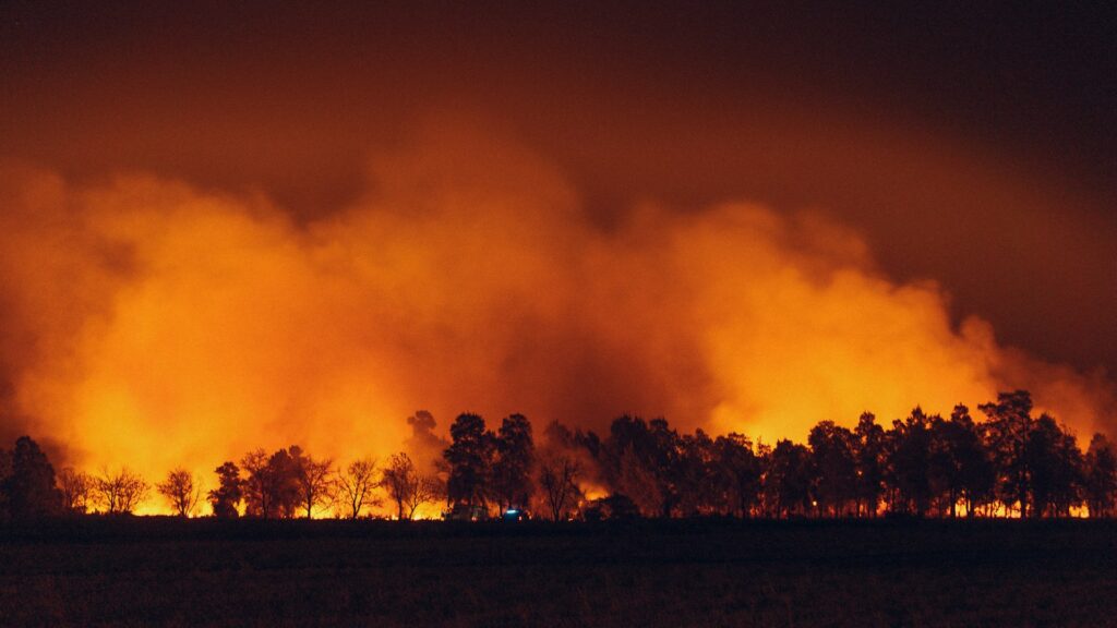 Wildfires and Deforestation Intensify the Effects of Severe Weather | Sciworthy