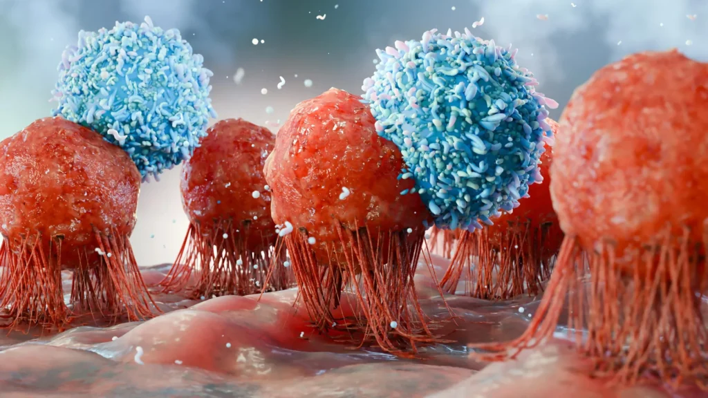 Yeast Supplement May Boost Cancer-Fighting Immune Response
