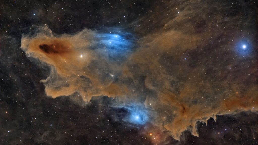 2026 ZWO Astronomy Photographer of the Year Winners: Space Sharks, Royal Aurora and Pearl of Venus
