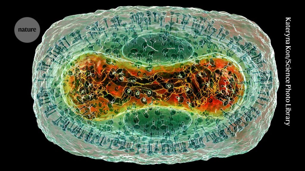 AlphaFold Database Adds Protein Complexes from Common Viruses