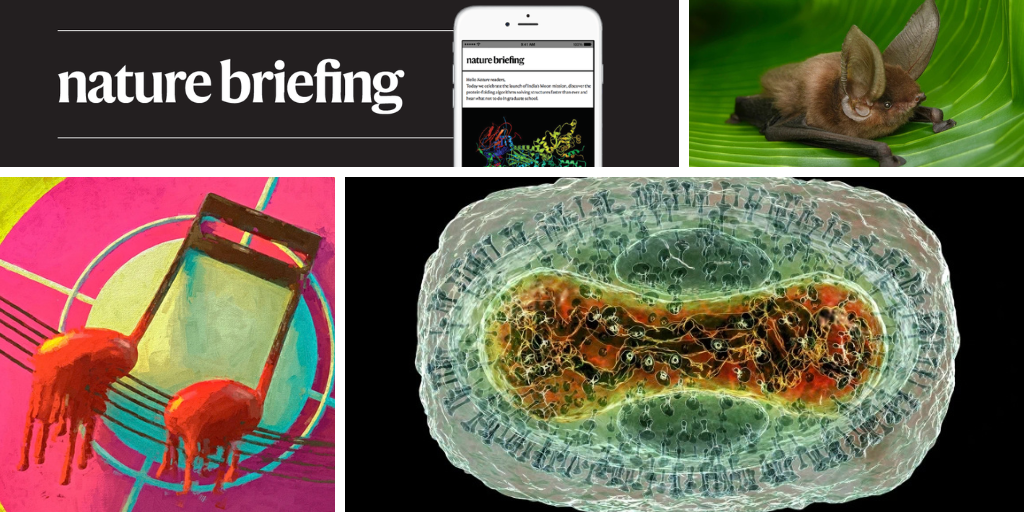 Bats Evolved in Europe, Groundbreaking Research Finds | Daily Briefing