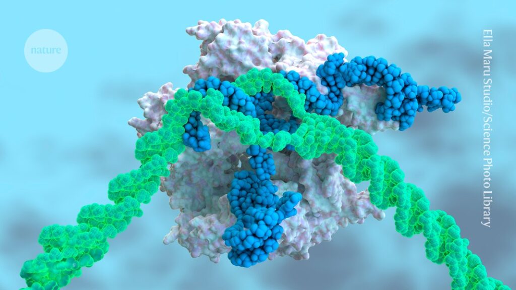 Beyond CRISPR: A Guide to Modern Genome Editing Technologies