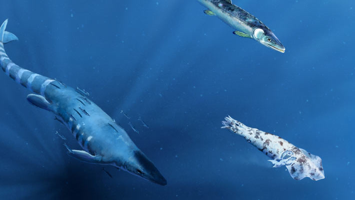 Cretaceous Fossils Reveal Deadly Attack on Giant Squid-Like Creature