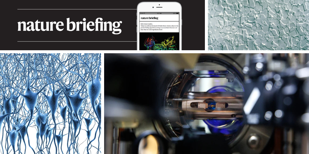 Daily AI News Briefing: Will Artificial Intelligence Really Be the Death of Us All?