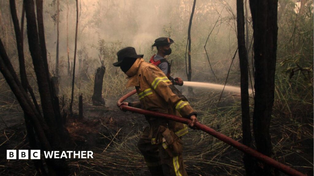 El Niño Forecast to Reach Record Strength Weeks Before Expected Peak