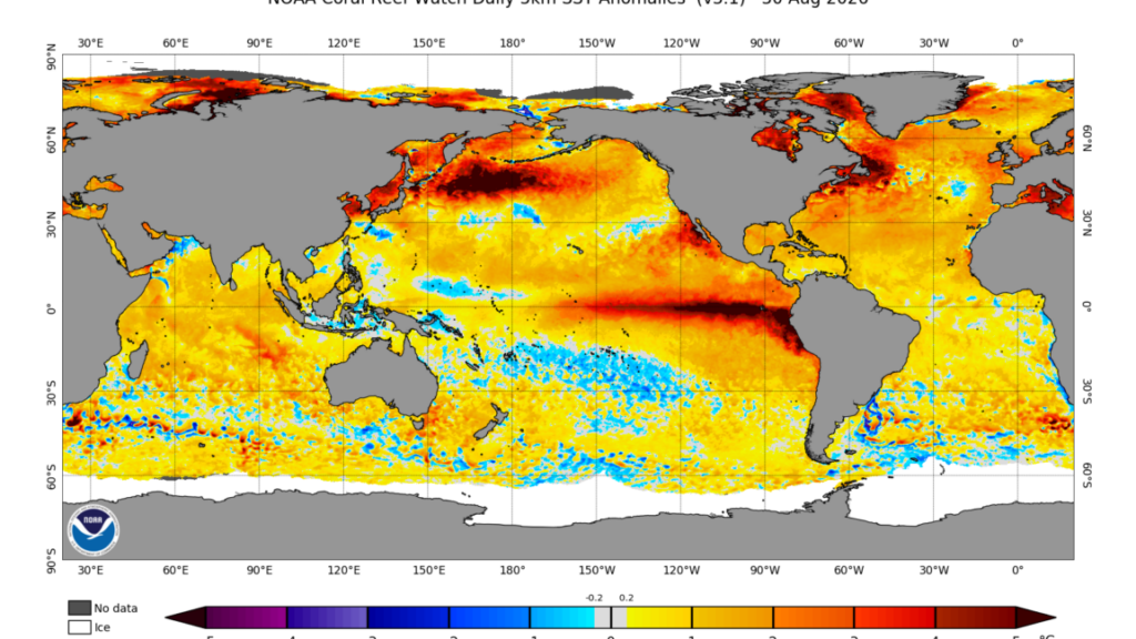 El Niño Is Stronger Now Than at Any Time in the Past 1,000 Years, Study Finds