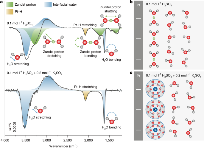 Far-From-Equilibrium Dynamics of Electric Double Layers