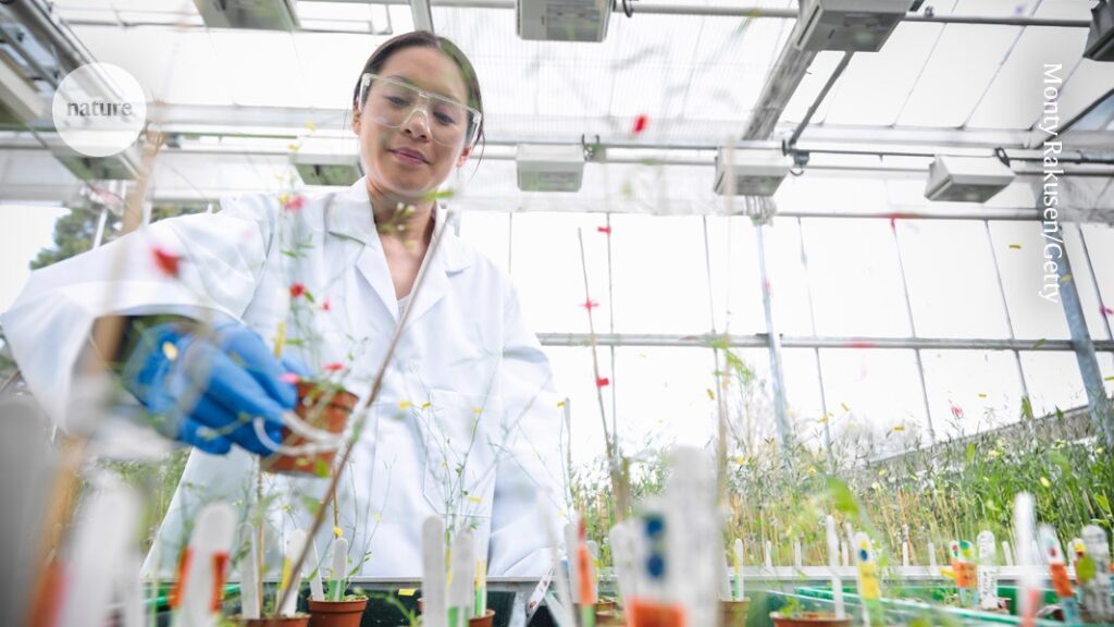How Research Funding Took Me from the Lab to Leadership Roles
