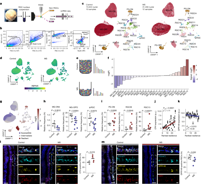 Intracellular Complement Factor H Protects Neurons During Central Nervous System Inflammation