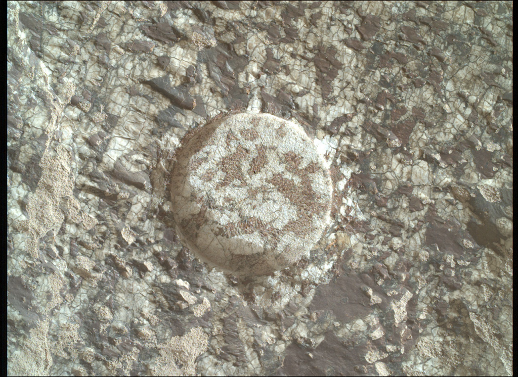 Mars: Fascinating Facts and NASA Science Exploration