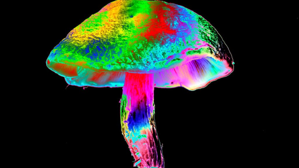 Psilocybin May Protect Nerve Cells From Chemotherapy Damage, Mouse Study Suggests