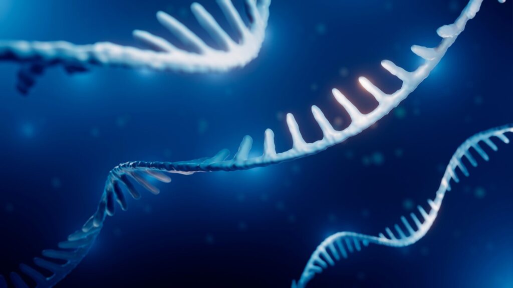 Research Reveals Aging Differs at the Molecular Level for Everyone